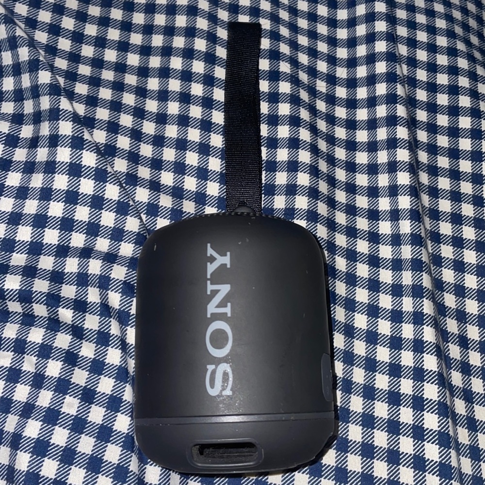 Sony IMTT Bluetooth speaker, goes for about 65$. Takes any Samsung charger.